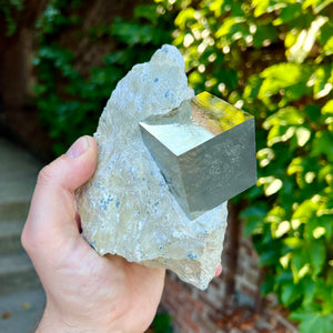 Big pyrite Cube Crystal