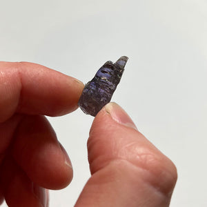 raw tanzanite size in hand 