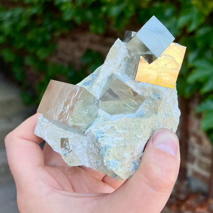 Pyrite Crystal Cubes on Rock