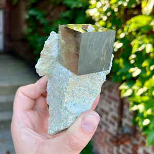 Amazing cubic pyrite crystal specimen on matrix