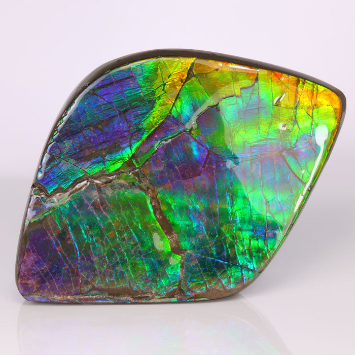 Canadian ammolite for on sale sale