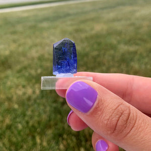 Blue Tanzanite Crystal Raw Specimen