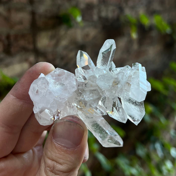 Ron Coleman Quartz Crystal