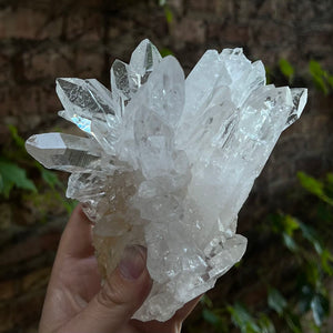 Colombian Quartz Crystal Specimen