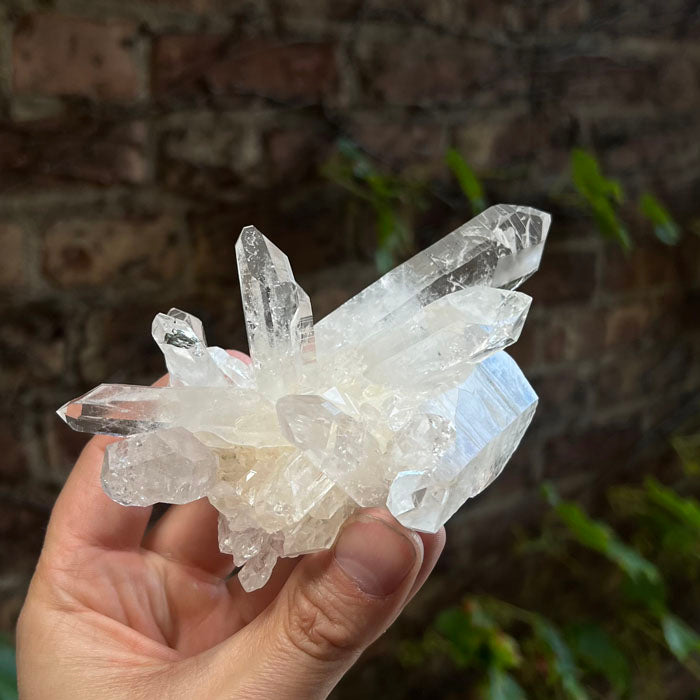 Clear Quartz Crystal Cluster