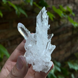 Santander Quartz Crystal Specimen