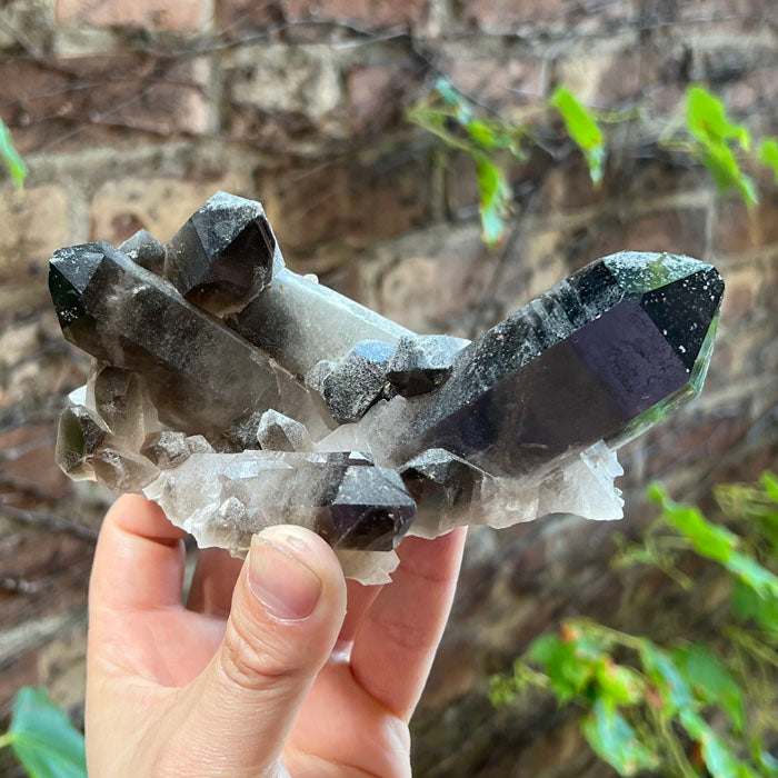 Brazil Smoky Quartz Crystal Cluster