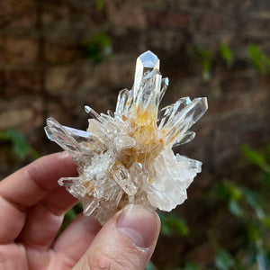 Colombian Quartz Crystal Cluster Needle