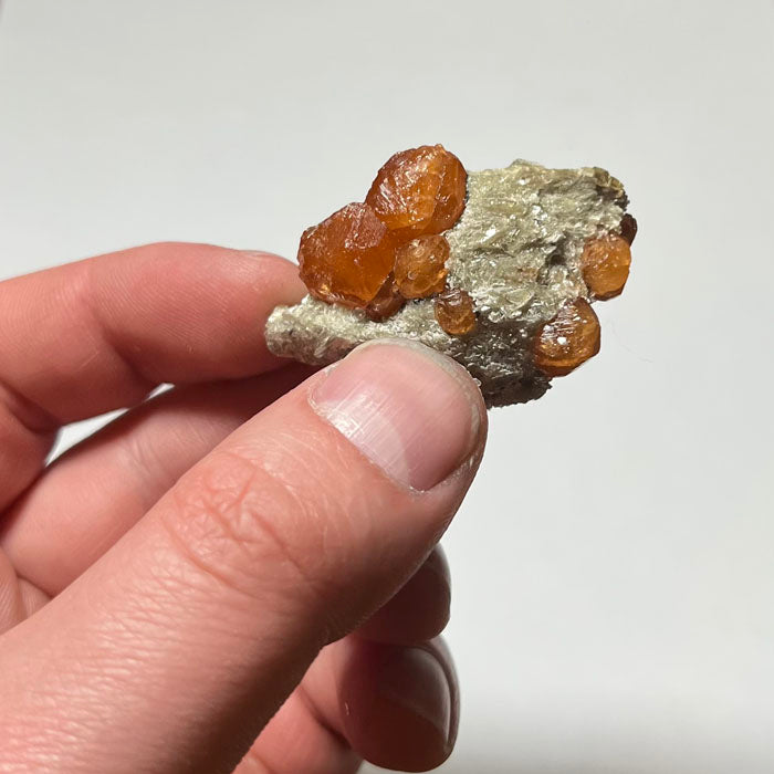 Spessartite Garnet Crystals on Mica Tanzania