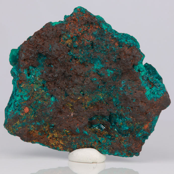 Cool Dioptase from Congo , 31 mm , top mineral specimen