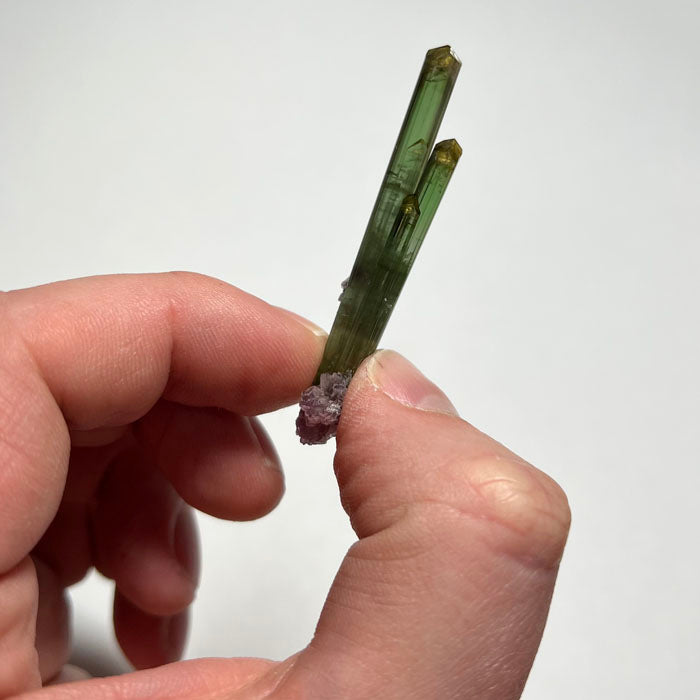 Brazil green tourmaline crystal cluster