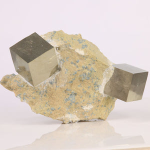 Pyrite Cubes on matrix