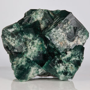 Greedy Hog Pocket Fluorite