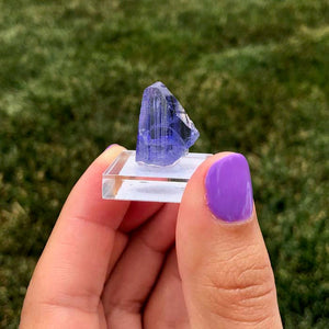 Raw Tanzanite Crystal Mineral Specimen Purple