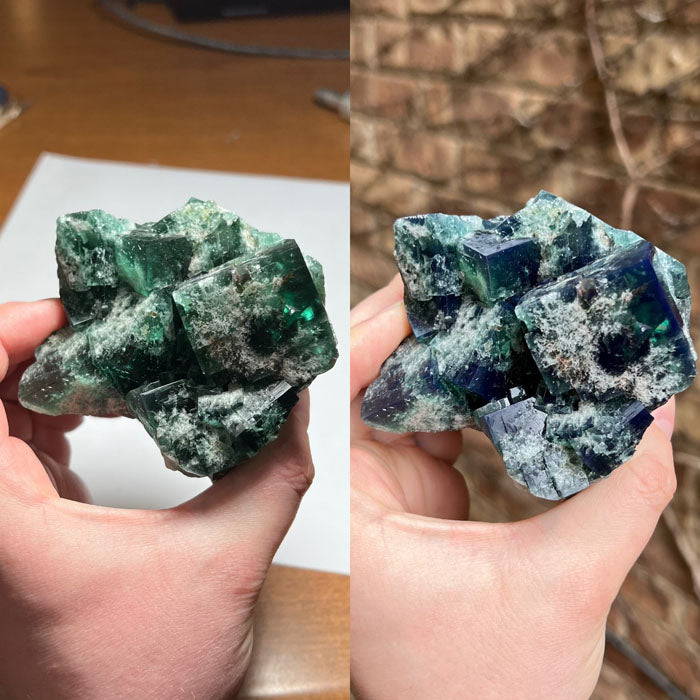 Greedy Hog Pocket Fluorite