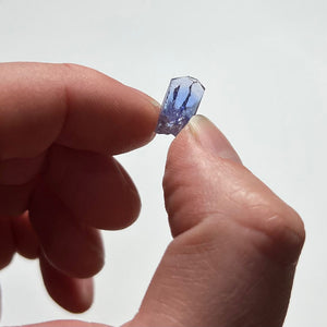 Tanzanite Crystal holding