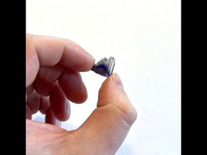 10.7ct Natural BiColor Tanzanite Crystal