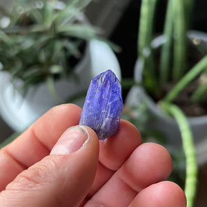 Tanzanite Mineral Specimen