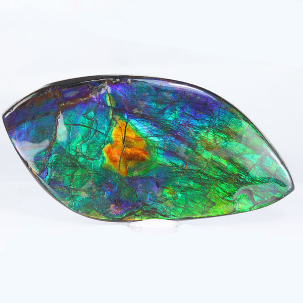 Fossilized Ammolite Pear Shape 18x11mm Single Piece 5.55 Carat, Rose Cut, Multi 2024 Color Stone, For Jewelry Making(43944)