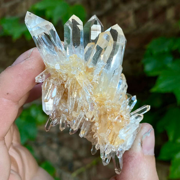 Beautiful shops natural small Clear Quartz cluster from Colombia, 4.4 oz./126 grams