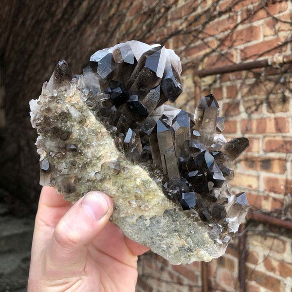 4.5 Dark Smoky Quartz Cluster - Large Crystals (Special Price) (#61498)  For Sale 