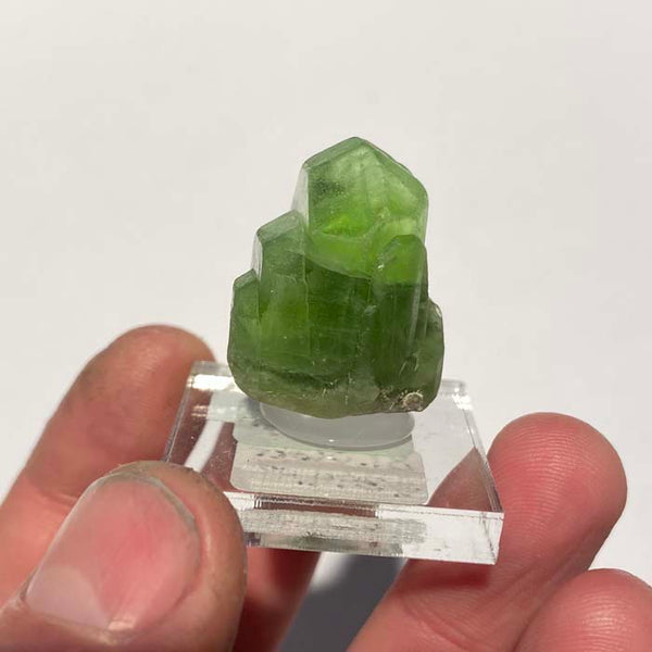 Deals Peridot-Beautiful-Terminated-Spectacular-Gem-Quality-Incrdible-Crystals-Specimen-6.60-GM-From-Suppat-Pakistan