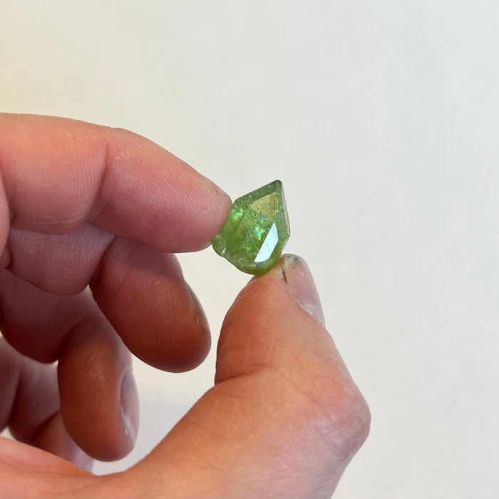 Peridot Crystal with Ludwigite inclusions